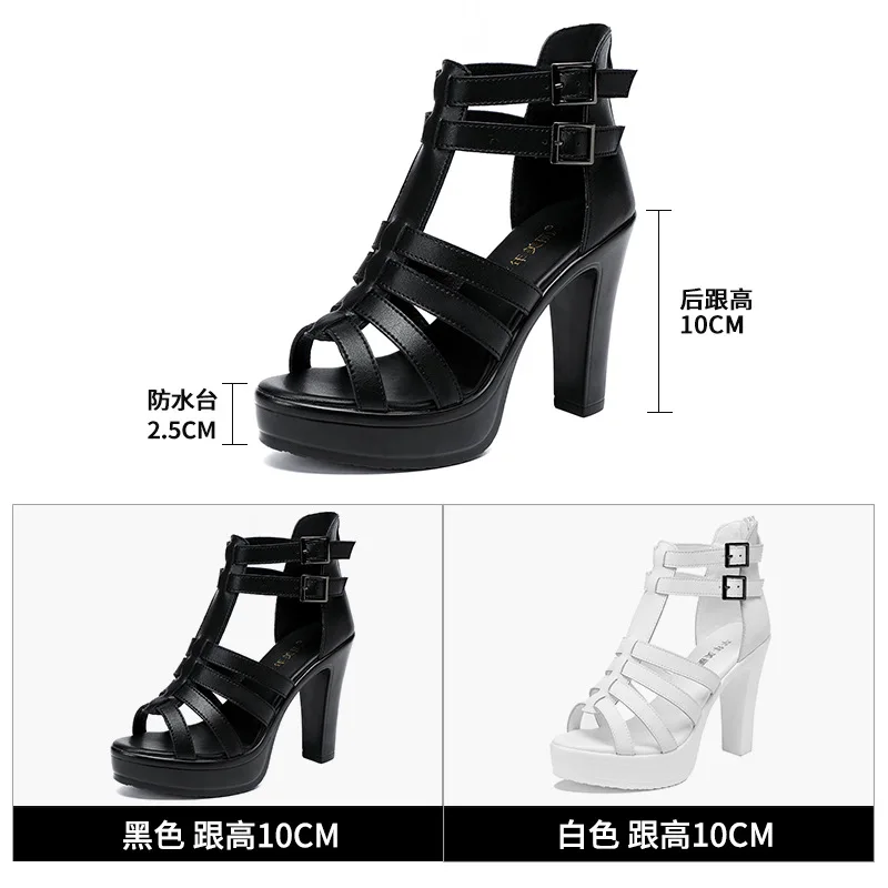 Gladiador senhoras sapato para - Women'S Shoes Quality avaliação e preço